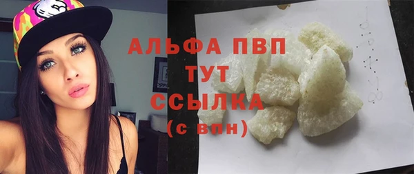 индика Зеленокумск