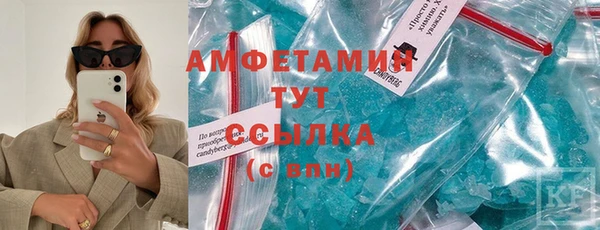 индика Зеленокумск
