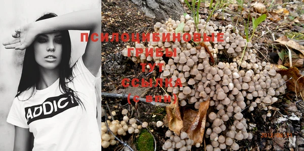 индика Зеленокумск