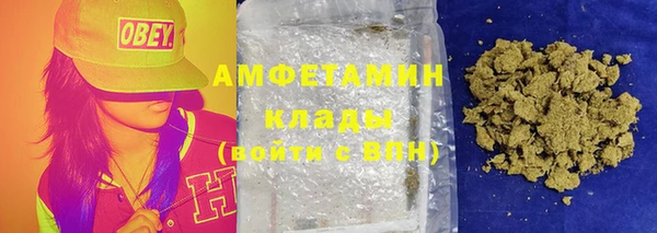 индика Зеленокумск