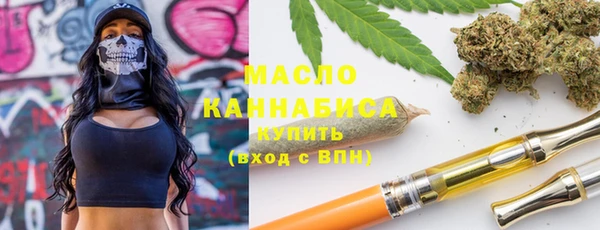 индика Зеленокумск