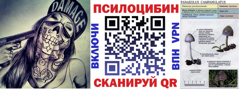 Купить  Болхов  Псилоцибиновые грибы MAGIC MUSHROOMS 