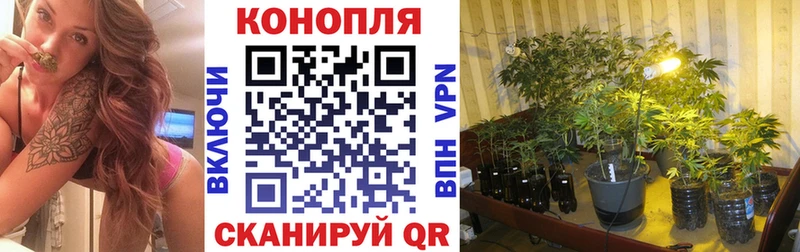 Шишки марихуана Bruce Banner  Купить закладки  Болхов 